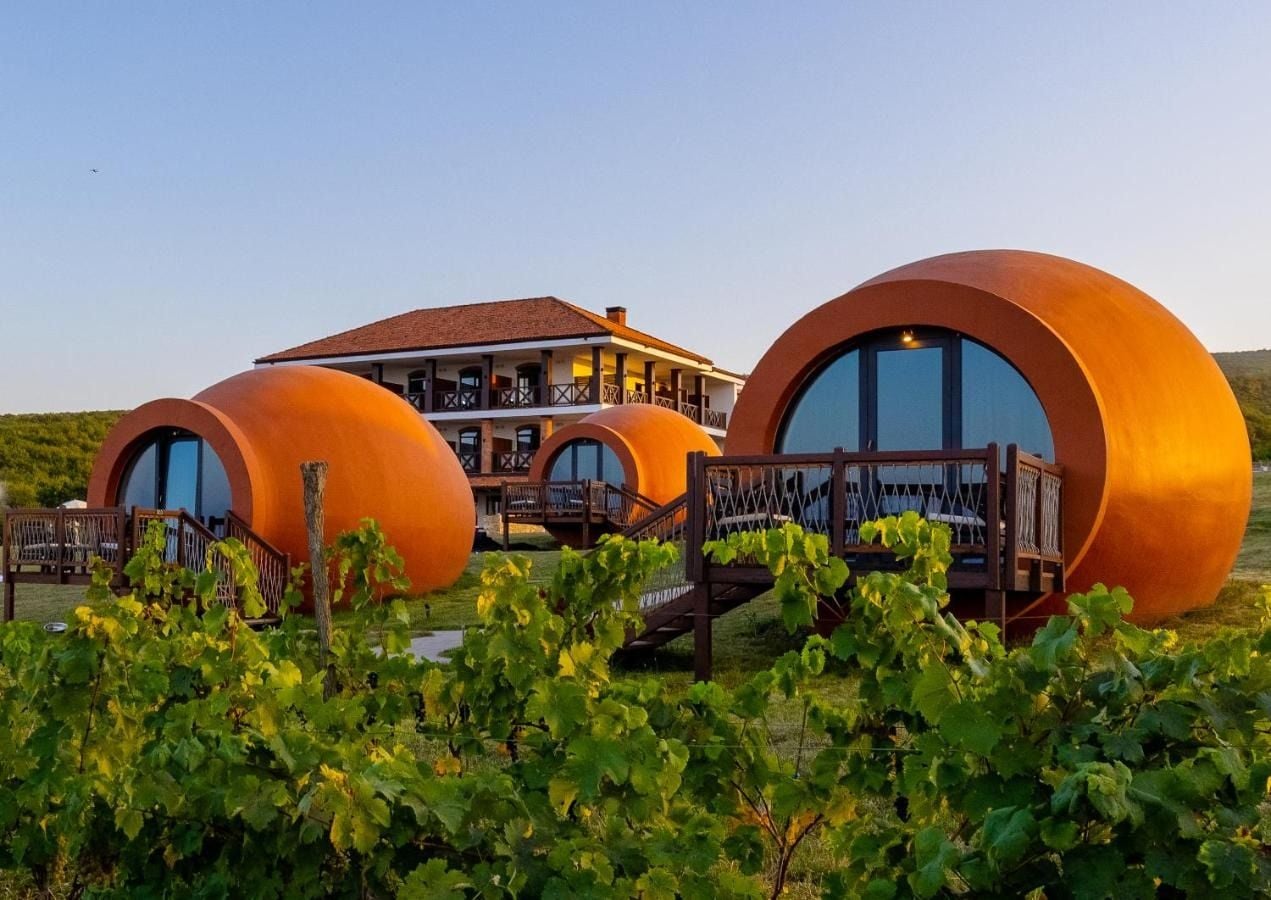 The Georgian Vineyard Where You Can Sleep in a Giant Wine Jug