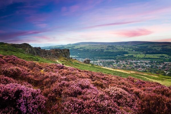 Brontë Country to Become the UK's Newest National Nature Reserve