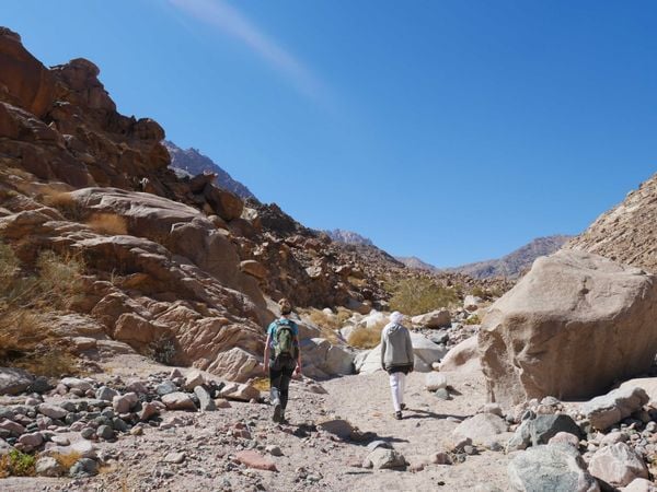What I Wish I Knew Before Visiting Egypt’s Sinai Desert