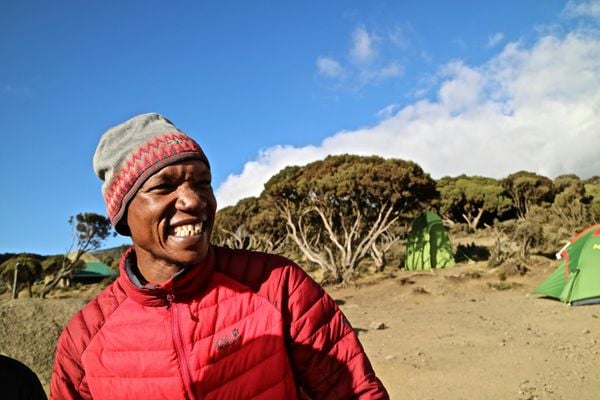 Do You Need a Guide to Climb Kilimanjaro? An Honest Guided vs. Independent Answer